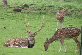 17 Most Lovely Places For Couples to Visit in Delhi