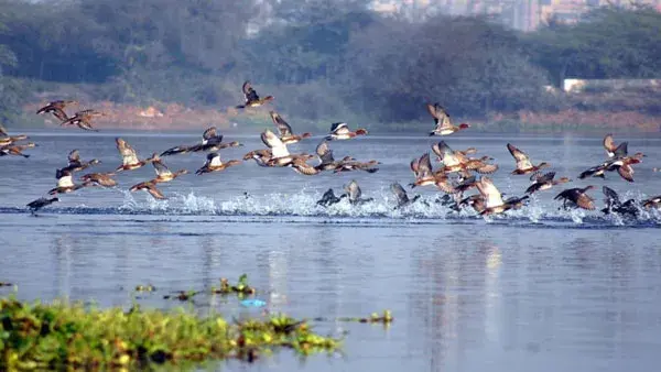 Best Picnic Places in Delhi