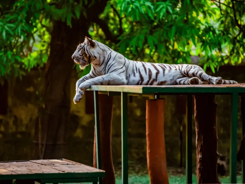 Best Picnic Places in Delhi